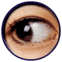 Auge