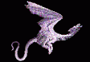 Drache