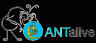 ANTalive200.gif