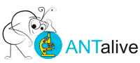 ANTalive200.gif
